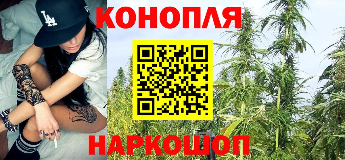 Бошки Шишки конопля Губаха